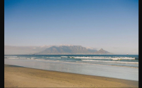  Vacation Hub International | Ocean View Apartment The Bay 103 Food