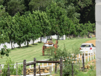  Vacation Hub International | Paardenberg Farm Cottages Food