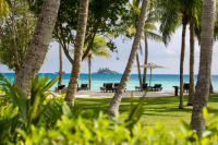  Vacation Hub International | Paradise Sun Hotel Food