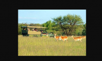  Vacation Hub International | Amanzi Private Game Reserve Food
