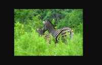  Vacation Hub International | Eagles Guest Farm Food