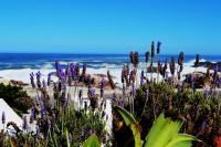  Vacation Hub International | 54 On Strand Food