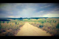  Vacation Hub International | Springgrove Estate Food