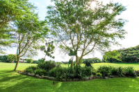  Vacation Hub International | Olive Sunbird Food
