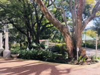  Vacation Hub International | Peaches and Cream Bed & Breakfast Food