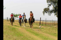  Vacation Hub International | Mont Plaisir Guest Farm Food
