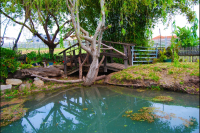  Vacation Hub International | Aloe Ridge Self Catering Food