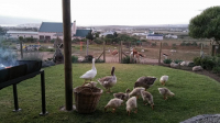  Vacation Hub International | The Stables Cottages Food