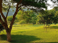 Vacation Hub International | umSisi House Food