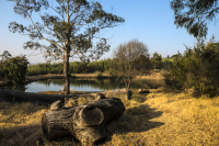  Vacation Hub International | Hartfell Farm Accommodation-Searles Cottage Food