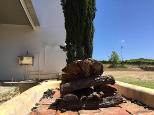  Vacation Hub International | Kookfontein Farm Cottages Food