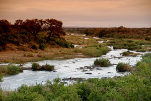  Vacation Hub International | Manzini Marloth Park Accommodation Food