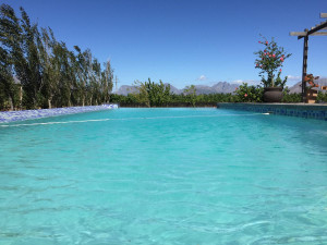  Vacation Hub International | Domaine Coutelier Food