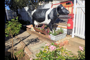  Vacation Hub International | The Victorian Cow Food