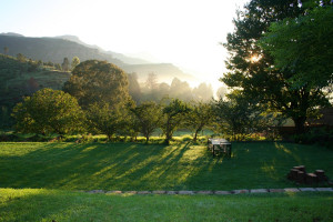  Vacation Hub International | Old Mill Drift Guest Farm - Rock Unit Food