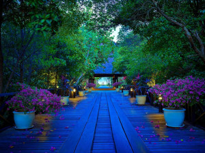  Vacation Hub International | Vivanta Rebak Island, Langkawi Food