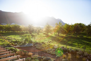  Vacation Hub International | Vineyard Views Country House Food