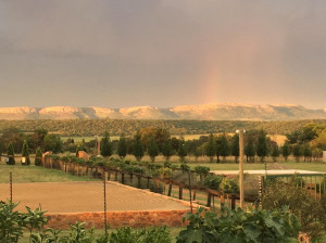  Vacation Hub International | Sanctuary Life Guest Farm Food