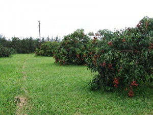  Vacation Hub International | Hluhluwe Country Cottages Food