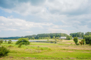  Vacation Hub International | Gowrie Farm - Charles Smythe Cottage Food