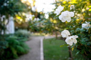  Vacation Hub International | Princes Lodge Guesthouse Food