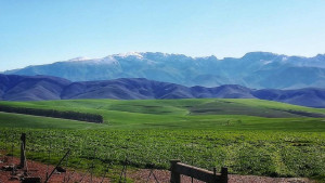  Vacation Hub International | Via's Guesthouse Food