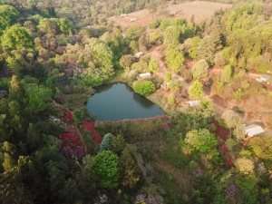  Vacation Hub International | Africamps at Magoebaskloof-Limpopo Food