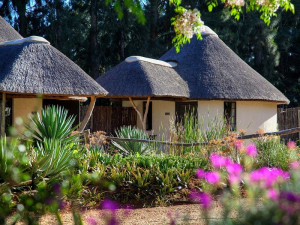  Vacation Hub International | Addo African Home Food