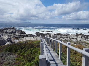  Vacation Hub International | Whale View Self Catering Apartment Food