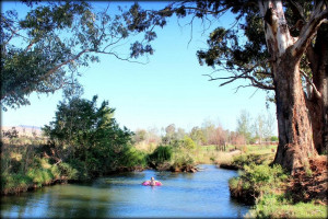  Vacation Hub International | Aqua Terra Guest House-Lydenburg Food