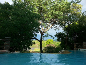  Vacation Hub International | Ng'ona Lodge Food