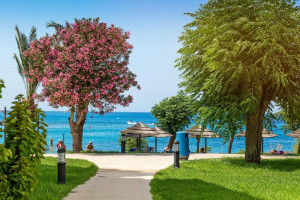  Vacation Hub International | Nausicaa Beach Food