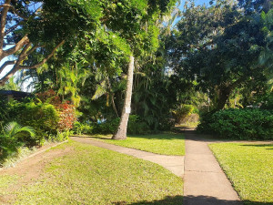  Vacation Hub International | Manzini Self Catering Chalets Food