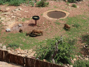  Vacation Hub International | Valley Farm Lodge, Mabalingwe Food