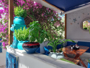  Vacation Hub International | Doron Hotel Delfini Food