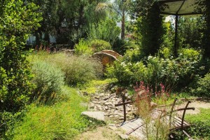  Vacation Hub International | Bezalel Wine & Brandy Estate Food