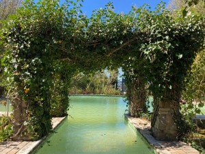  Vacation Hub International | The Historic Hogsback Inn Food