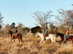  Vacation Hub International | AfriCamps Waterberg Food