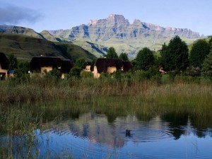  Vacation Hub International | 20 Mount Champagne Food