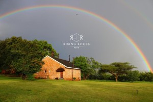  Vacation Hub International | Relaxing Mountain FarmStay Food