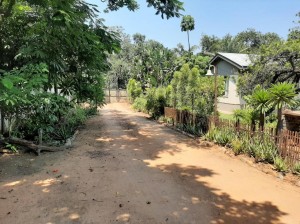  Vacation Hub International | Elephant Walk Guesthouse Food