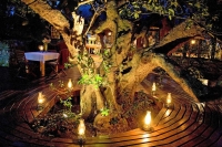  Vacation Hub International | MOSAIC Private Sanctuary - Lagoon Lodge Lobby