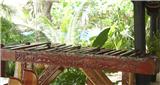  Vacation Hub International | Caprivi River Lodge Lobby