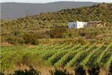  Vacation Hub International | Tanagra Wine And Guest Farm Lobby