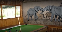 Vacation Hub International | Wild Berry Guest Farm Lobby
