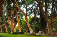  Vacation Hub International | Stellenhof Farmstay Bed and Breakfast Lobby
