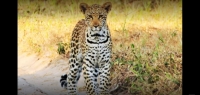  Vacation Hub International | Tembe Elephant Park Lodge Lobby