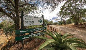  Vacation Hub International | Mpila Camp - Hluhluwe iMfolozi Game Reserve Lobby