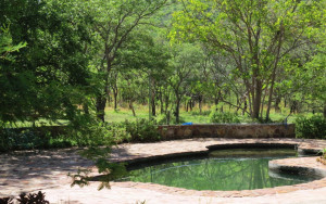  Vacation Hub International | Shondoro Mountain Retreat - Bushbuck Cottage Lobby