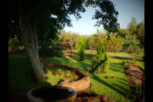  Vacation Hub International | Votadini Country Cottages - House Martin Cottage Lobby
